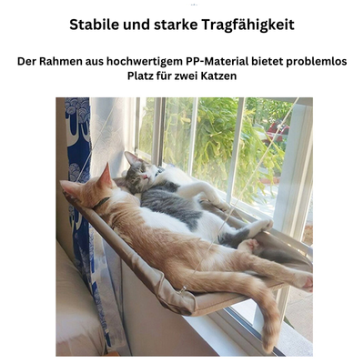 Puppyo - MiezenMatte